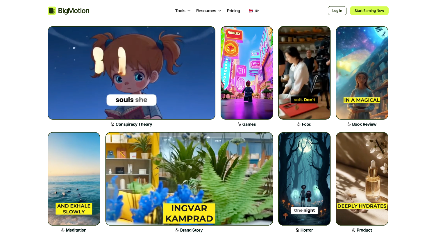 BigMotion AI